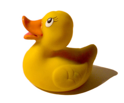 a rubber duck can easily clog your toilet